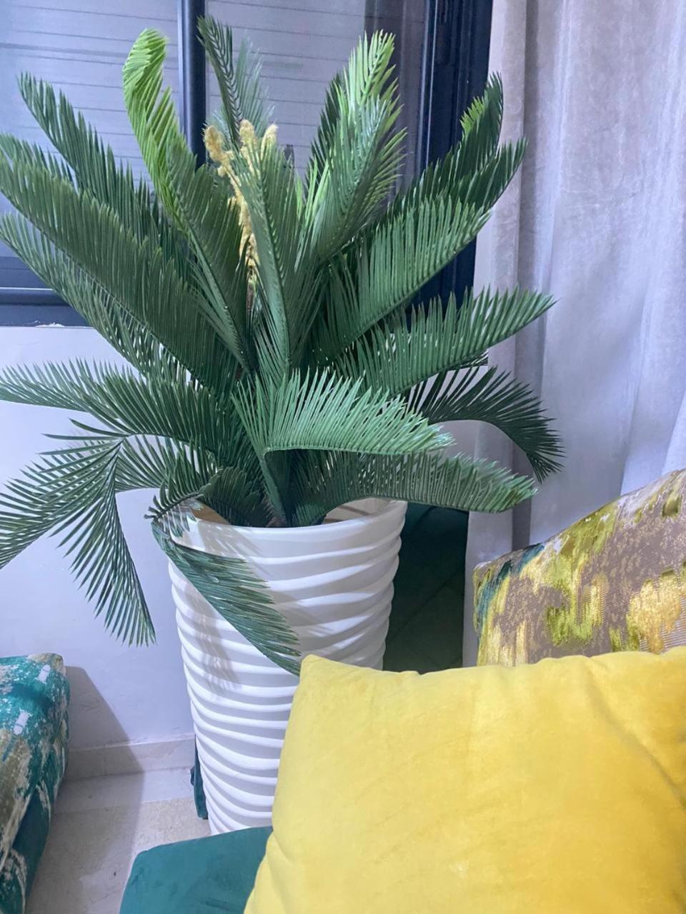 Cosy & Magnifique Appartement Marrakech Μαρακές Εξωτερικό φωτογραφία